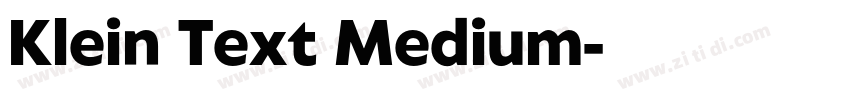 Klein Text Medium字体转换